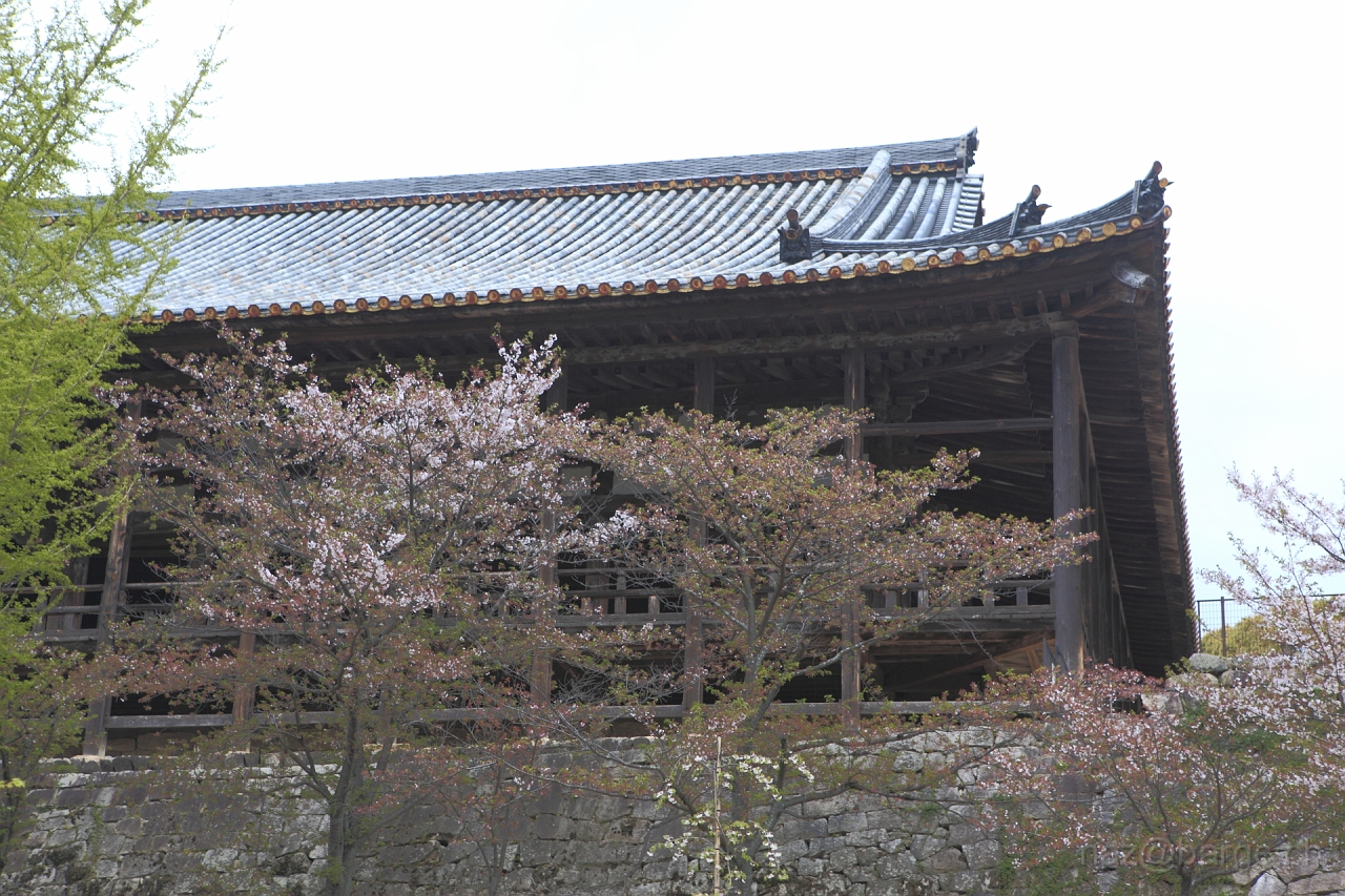 EOS 5D Mark II10_04_20134336.JPG